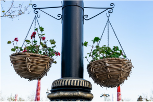 Room Designing: 3 Things You Can Add to Your Sanctuary Room Designing: 3 Things You Can Add to Your Sanctuary